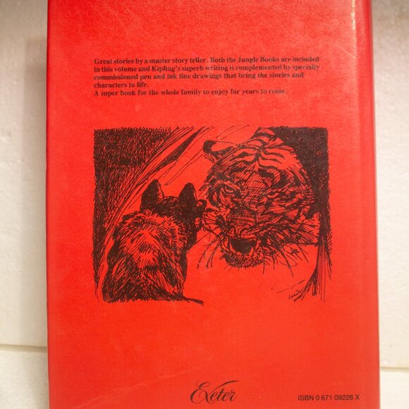 Vintage Illustrated Rudyard Kipling The Jungle Books - Picture 3 of 10